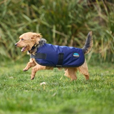 Image showing 2 th WeatherBeeta ComFiTec Classic Waterproof Dog Coat
