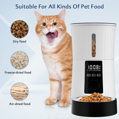Image showing  Timed Automatic Dog & Cat Feeder with 10s Voice Recorder, 4-L, White