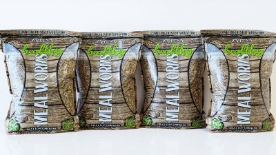 Zylina Healthy Mealworm 5 lb. Bag for Chickens, 4 pk. (20 lb.)