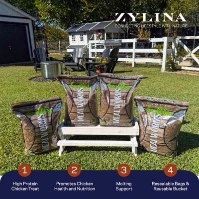 Image showing  Healthy Mealworm 5 lb. Bag for Chickens, 4 pk. (20 lb.)