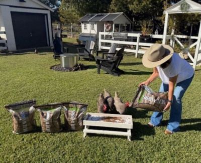 Image showing  Healthy Mealworm 5 lb. Bag for Chickens, 4 pk. (20 lb.)