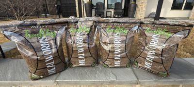 Image showing  Healthy Mealworm 5 lb. Bag for Chickens, 4 pk. (20 lb.)