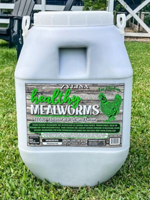Zylina Healthy Mealworms 20 lb. Bucket for Chickens with Probiotic Additive