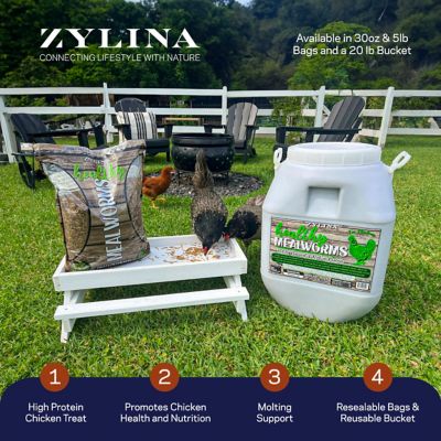 Image showing  Healthy Mealworms 20 lb. Bucket for Chickens with Probiotic Additive