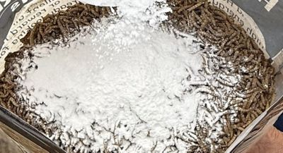 Image showing  Healthy Mealworms 20 lb. Bucket for Chickens with Probiotic Additive