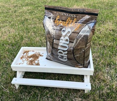 Image showing  Healthy Grubs 5 lb. Bag for Chickens With Probiotic Additive