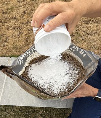 Image showing  Healthy Grubs 5 lb. Bag for Chickens With Probiotic Additive