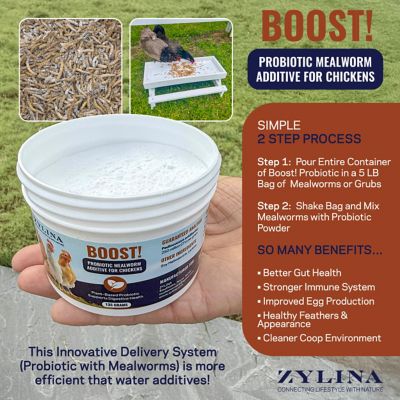 Image showing  Healthy Mealworm 5 LB Bag for Chickens With Probiotic Additive