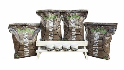 Zylina Healthy Mealworm 5 lb. Bag for Chickens with Probiotic Additive, 4 pk. (20 lb.)