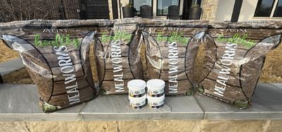 Image showing  Healthy Mealworm 5 lb. Bag for Chickens with Probiotic Additive, 4 pk. (20 lb.)