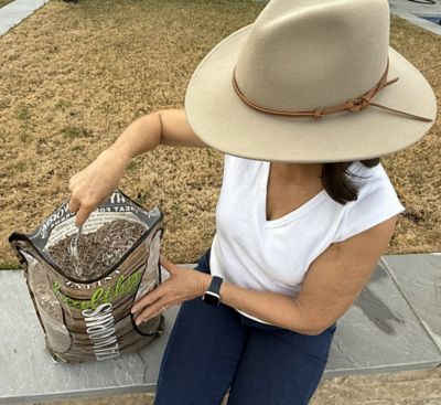 Image showing  Healthy Mealworm 5 lb. Bag for Chickens with Probiotic Additive, 4 pk. (20 lb.)