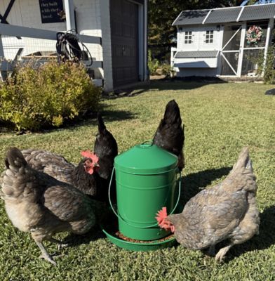 Image showing  Powder Coated Metal Feeder 26 lb., Green