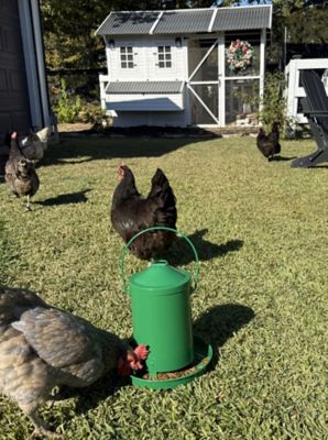 Image showing  Powder Coated Metal Feeder 13 lb., Green