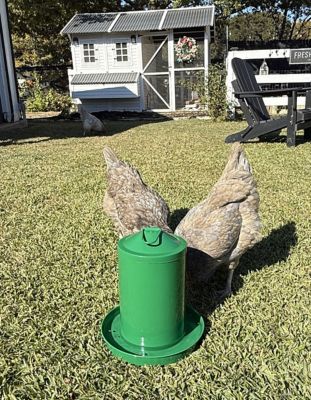 Image showing  Powder Coated Metal Waterer 1 gal., Green