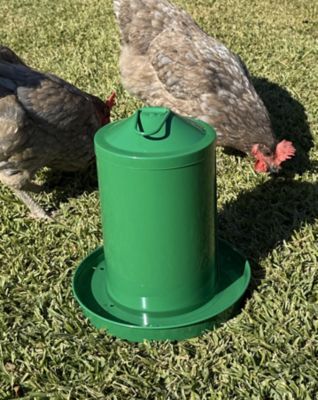 Image showing  Powder Coated Metal Waterer 1 gal., Green