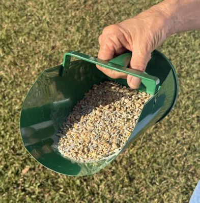 Image showing  Powder Coated Metal Scoop 3 lb., Green