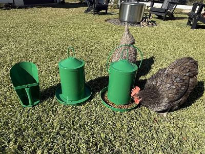Image showing  Powder Coated Green Metal Waterer 1 gal. Feeder 13 lb., Feed Scoop Combo Kit