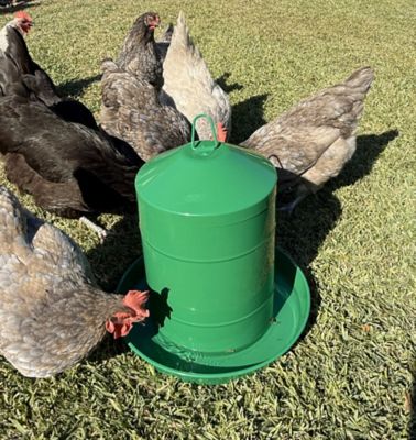 Image showing  Powder Coated Metal Waterer 3.2 gal., Green
