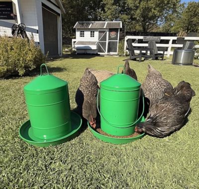 Image showing 8 th Zylina Powder Coated Metal Waterer 3.2 gal., Green