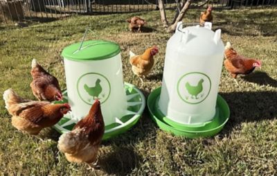 Image showing  Chicken Waterer 3.7 gal., Feeder 26 lb. Combo, Green