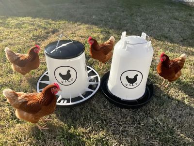 Image showing  Chicken Waterer 3.7 gal., Feeder 26 lb. Combo, Black
