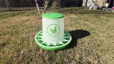 Image showing  Chicken Feeder 26 lb., Green