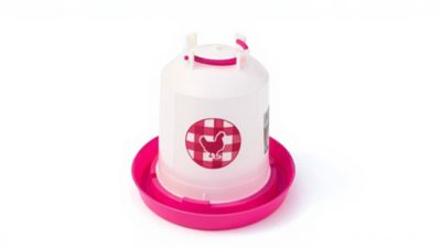 Zylina Chicken Waterer 1.5 gal., Fuchsia