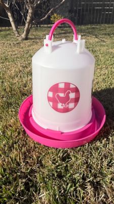 Image showing  Chicken Waterer 1.5 gal., Fuchsia