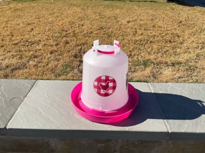 Image showing  Chicken Waterer 1.5 gal., Fuchsia