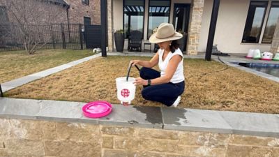 Image showing  Chicken Waterer 1.5 gal., Fuchsia