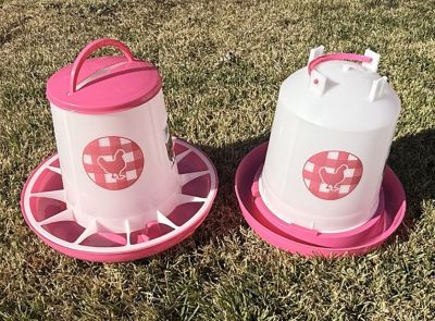 Image showing  Chicken Waterer 1.5 gal. and Feeder 13 lb. Combo, Fuchsia