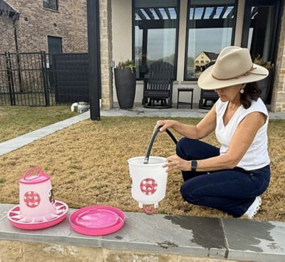 Image showing 5 th Zylina Chicken Waterer 1.5 gal. and Feeder 13 lb. Combo, Fuchsia