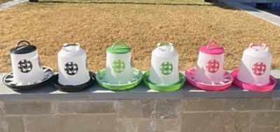 Image showing 7 th Zylina Chicken Waterer 1.5 gal. and Feeder 13 lb. Combo, Fuchsia