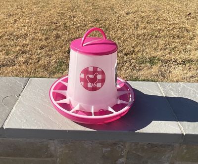 Image showing  Chicken Feeder 13 lb., Fuchsia