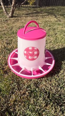 Image showing  Chicken Feeder 13 lb., Fuchsia