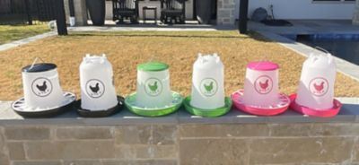 Image showing 7 th Zylina Chicken Waterer 1.5 gal. and Feeder 13 lb. Combo, Black