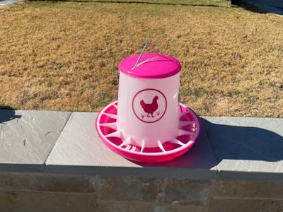 Image showing  Chicken Feeder 25 lb., Fuchsia