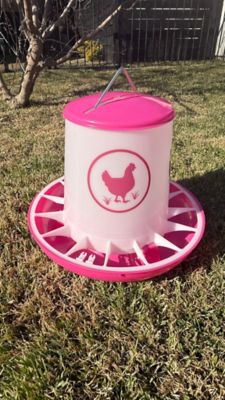 Image showing  Chicken Feeder 25 lb., Fuchsia
