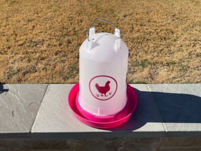 Image showing  Chicken Waterer 3.7 gal., Fuchsia
