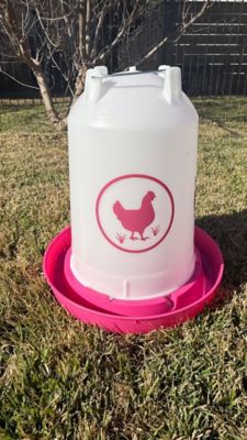 Image showing  Chicken Waterer 3.7 gal., Fuchsia