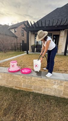 Image showing  Chicken Waterer 3.7 gal., Fuchsia