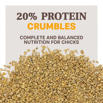 Image showing  Home Fresh Starter Non-Medicated