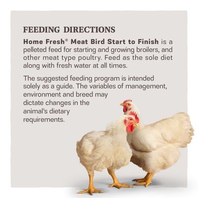 Image showing  Home Fresh Meat Bird Start to Finish