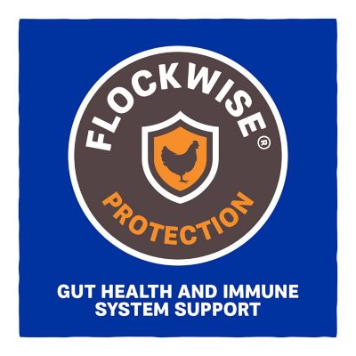 Image showing 5 th Kent Home Fresh Meat Bird Start to Finish