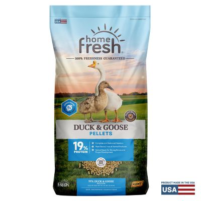 Kent Home Fresh Duck & Goose