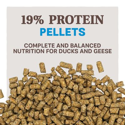 Image showing  Home Fresh Duck & Goose