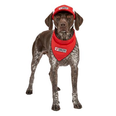 Tractor Supply Hat and Bandana Dog Costume Set, M/L