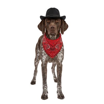 Retriever Cowboy Hat and Bandana Dog Costume Set, M/L
