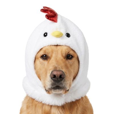 Retriever Chicken Head Dog Costume, M/L