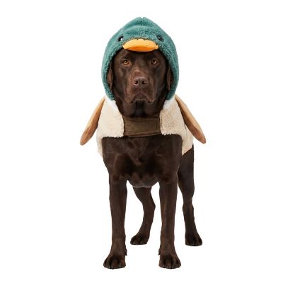Retriever Mallard Duck Dog Costume